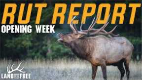 RUT REPORT: OPENING WEEKEND (LAND OF THE FREE)
