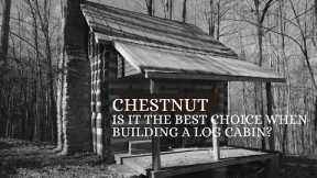 Building a Log Cabin with Chestnut... Handmade House TV #165