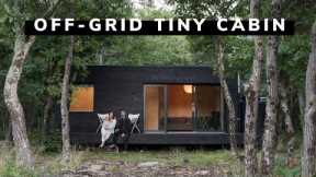 Couple with ZERO Building Experience Builds Off-Grid DIY Tiny Cabin