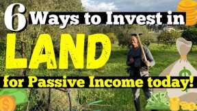 Buy Land NOW - 6 Ways to Generate Passive Income from a Small Piece of Land