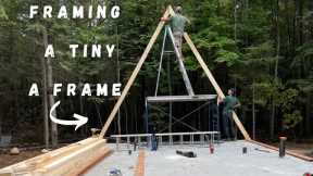 56 rafters and we have a FRAMED tiny AFRAME | Building a A FRAME CABIN
