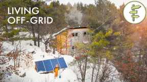 Man Spends 6 Years Living Off-Grid with Rainwater & Solar in a Self-Built Cabin
