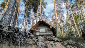 Log Cabin Building Built By ONE MAN Alone In The Wild Forest