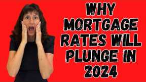 Mortgage Rates are PLUNGING!  Will They Keep Going DOWN in 2024?