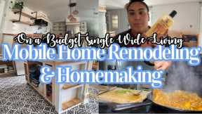 DOING THINGS DIFFERENTLY WHEN IT COMES TO REMODELING || SINGLE WIDE MOBILE HOME LIVING