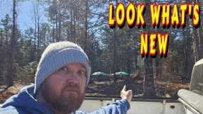HUGE STEPS |tiny house, homesteading, off-grid, cabin build, DIY HOW TO sawmill tractor tiny cabin