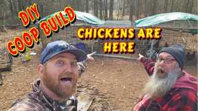 THIS WAS AN EPIC BUILD tiny house, homesteading, off-grid, cabin build, DIY HOW TO CHICKENS sawmill