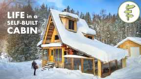 Couple's Cozy Log Cabin Home Built from Scratch with 40 Trees from the Land