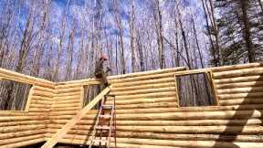Solo Building A Big Log Cabin From My Land: Done With Eave Logs
