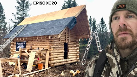Winter Log Cabin Build on Off-Grid Homestead |EP20|