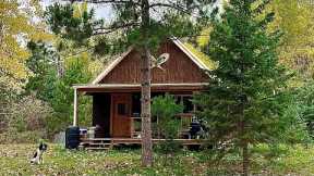 Building A Log Cabin Right From The Land: Cutting Trees And Skidding Logs