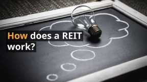 REITs 101: A Beginner's Guide to Real Estate Investment Trusts