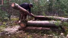 How to build a log cabin with a stove in the wild forest? Survival and bushcraft alone