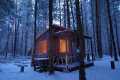 6 months building cabin in the woods, 