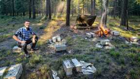 I'm Building a Guest LOG CABIN on My Land from SCRATCH! PART 1