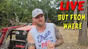 Where Did I End Up |tiny house, homesteading, off-grid, cabin build, DIY  sawmill tractor tiny cabin