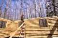 Solo Building A Big Log Cabin From My 