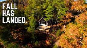 I need Cabin Therapy - Lap Siding the Offgrid Cabin Build