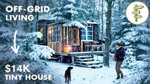 Self-Sufficient Man Built an Off-Grid Tiny House Homestead & Lives on a Minimal Budget