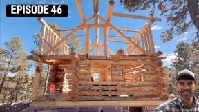 Building our own Log Cabin/Home- Log rafter work and building walls! #Weatherall