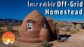 Family's Epic Tiny Home Journey! Building Dream Off-Grid Homestead