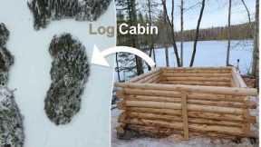 Building a Log Cabin on Our Island Ep.10 | (Mini Cabin Walls)