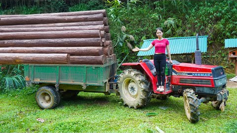 Wood Transport & Forest Cabin Build | DIY Wooden House in the Wilderness 2025