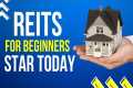 Real Estate Investment Trusts (REITs) 