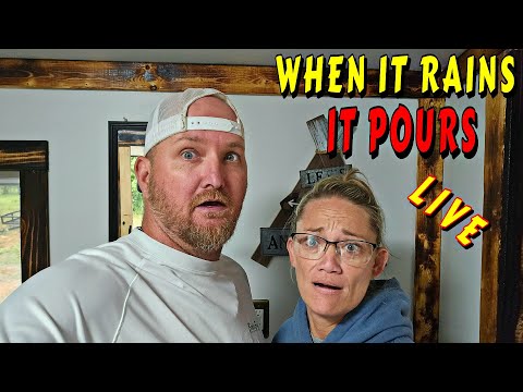 THIS WON'T BREAK US!!! |tiny house, homesteading off-grid cabin build, DIY HOW TO tractor tiny cabin