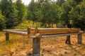 I'm Building an Rustic LOG CABIN