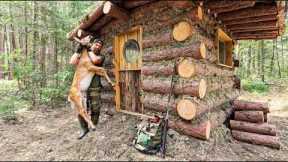 Building a Bear-Proof Survival Log Cabin ALONE (Deep in the Canadian Wilderness)