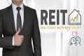 Real Estate Investment Trust (REITs)