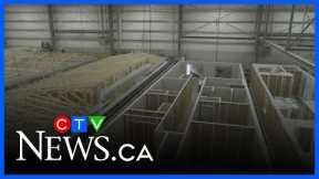 Multi-family housing using modular homes