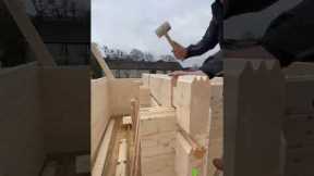 Log cabin building #buildingalogcabin #cabinbuilding #logcabin #cabin