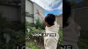 What Type of Rental Property To Buy