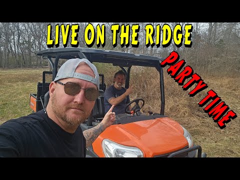GRILLING AND CHILLING LIVE |tiny house, homesteading, off-grid, cabin build, DIY HOW TO tiny cabin