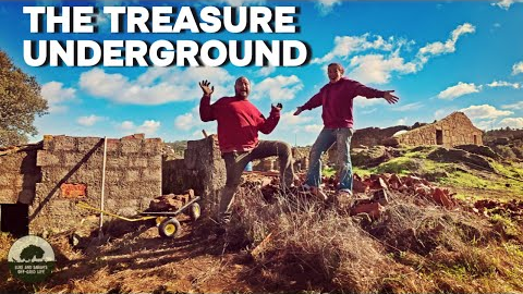 Hidden for decades - Finding Resources on our land to build our dream home