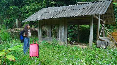 Full video: Leaving the city for the forest to clear land: building houses, constructing farms.