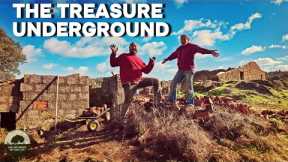 Hidden for decades - Finding Resources on our land to build our dream home