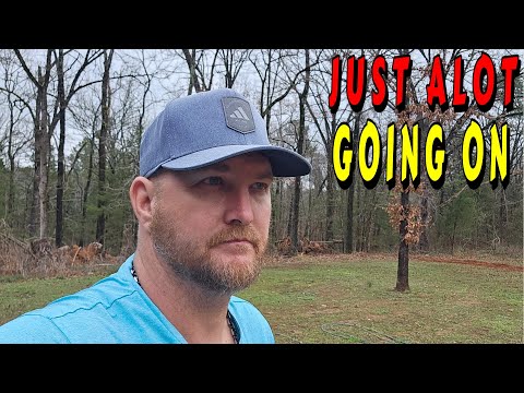 SO MUCH MOVEMENT ON THE MOUNTAIN |tiny house, homesteading, off-grid, cabin build DIY HOW TO sawmill