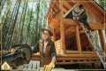 EP35:Building a Cabin From Our Own