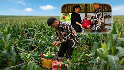 The sweet corn season brought home a special gift for Mr. Thang's family.