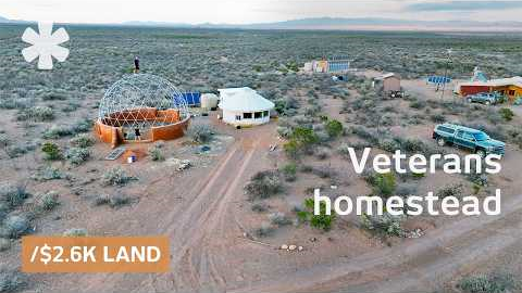 Veterans buy dirt-cheap land to build off-grid coliving homestead