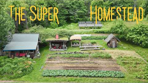 They Built a 1 Acre Homestead on “Unfarmable” Land — Now It Makes Them $13,000 a Week