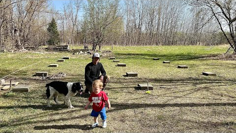 Simple Pad Foundation For My Log Cabin Build | Pouring Concrete Pads