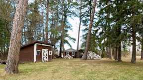 Building A Log Bridge In The Woods: Log Cabin Build Construction Process
