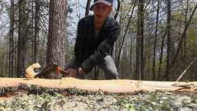 Log Cabin Build on Off-Grid Homestead | Save Money...Do It By Hand