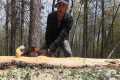 Log Cabin Build on Off-Grid Homestead 