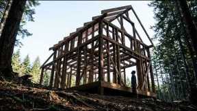 Turning Bare Forest Ground Into a Finished Off Grid Cabin  Start to Finish