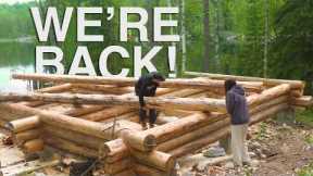 BACK TO BUILDING OUR LOG CABIN!